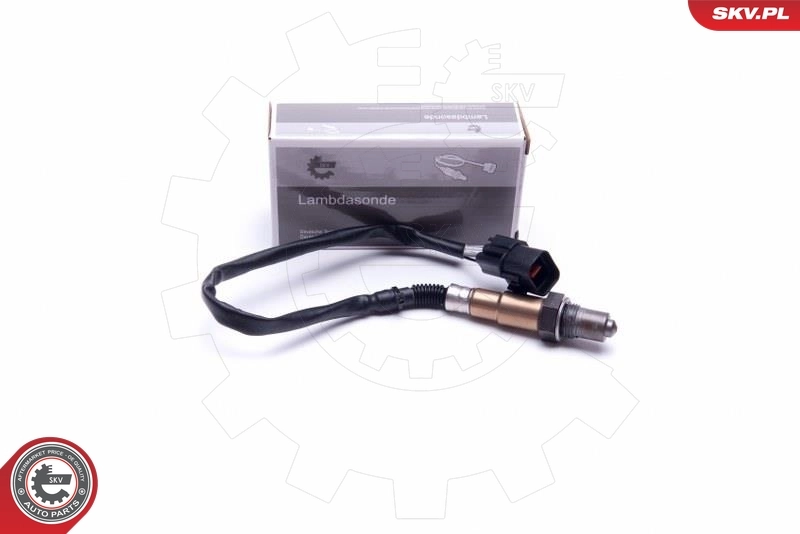 Oxygen Sensor